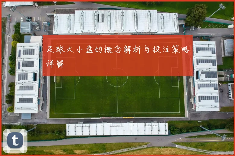 足球大小盘的概念解析与投注策略详解