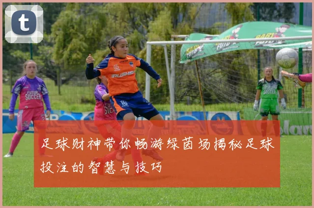 足球财神带你畅游绿茵场揭秘足球投注的智慧与技巧