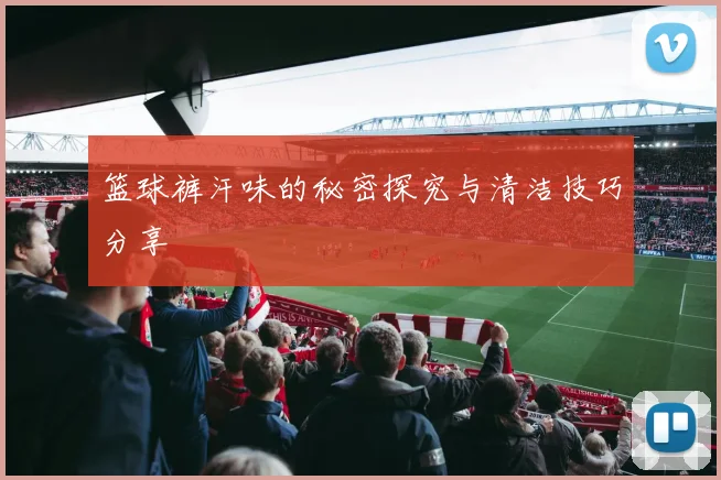 篮球裤汗味的秘密探究与清洁技巧分享