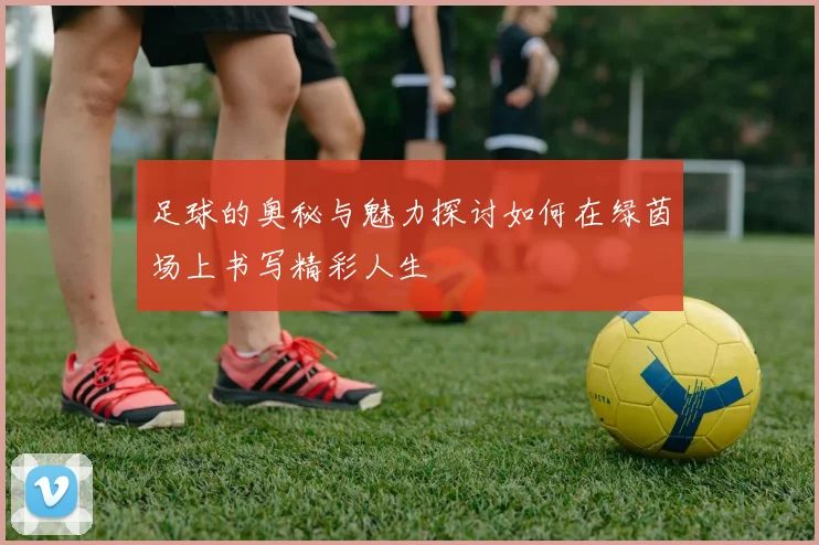 足球的奥秘与魅力探讨如何在绿茵场上书写精彩人生