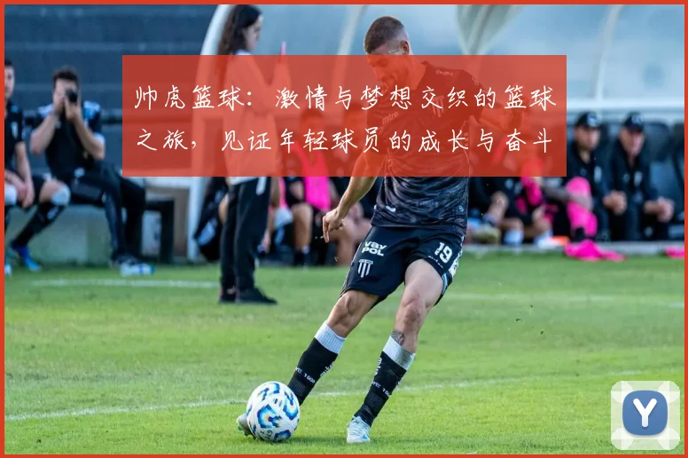 帅虎篮球：激情与梦想交织的篮球之旅，见证年轻球员的成长与奋斗
